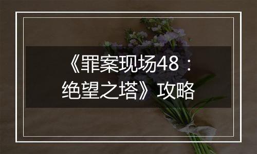 《罪案现场48：绝望之塔》攻略