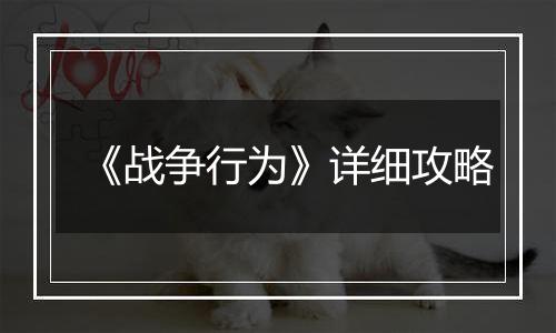 《战争行为》详细攻略