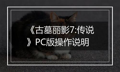 《古墓丽影7:传说》PC版操作说明