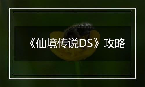 《仙境传说DS》攻略