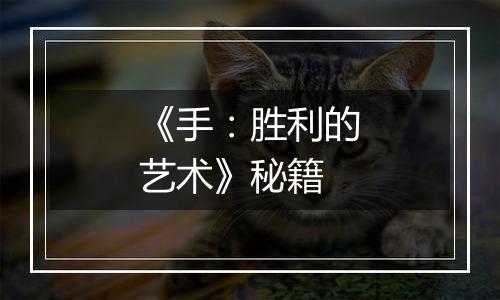 《手：胜利的艺术》秘籍
