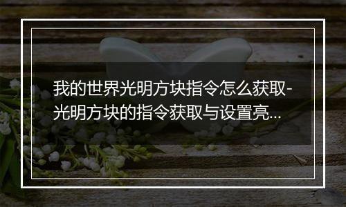 我的世界光明方块指令怎么获取-光明方块的指令获取与设置亮度方法