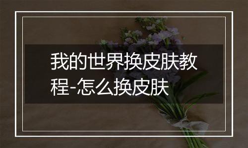 我的世界换皮肤教程-怎么换皮肤