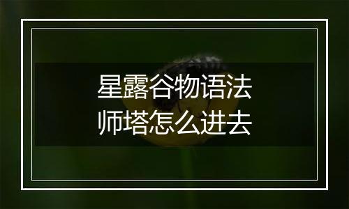 星露谷物语法师塔怎么进去