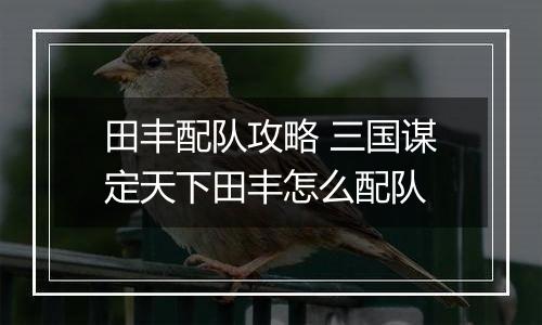 田丰配队攻略 三国谋定天下田丰怎么配队
