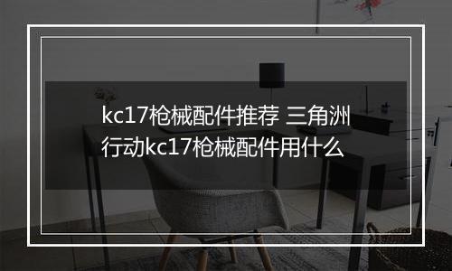 kc17枪械配件推荐 三角洲行动kc17枪械配件用什么