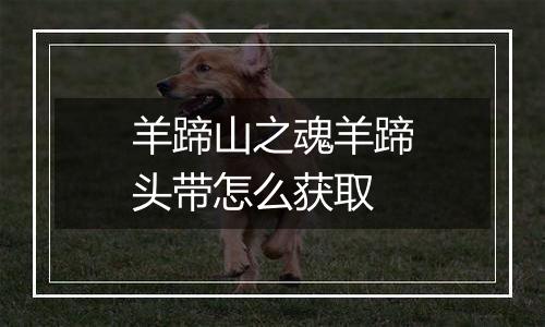羊蹄山之魂羊蹄头带怎么获取