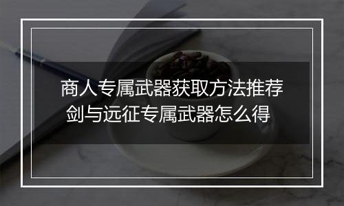 商人专属武器获取方法推荐 剑与远征专属武器怎么得