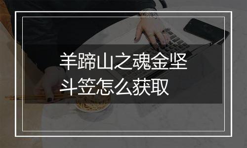羊蹄山之魂金坚斗笠怎么获取