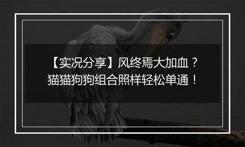 【实况分享】风终焉大加血？猫猫狗狗组合照样轻松单通！
