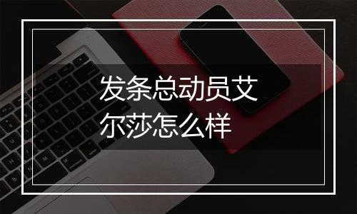 发条总动员艾尔莎怎么样