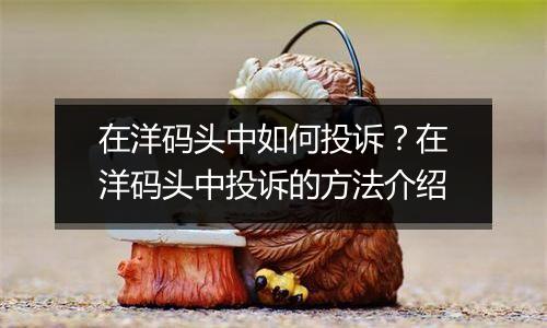 在洋码头中如何投诉？在洋码头中投诉的方法介绍