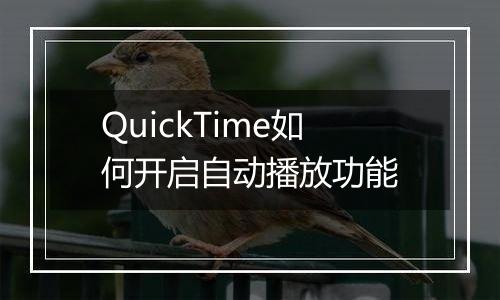 QuickTime如何开启自动播放功能
