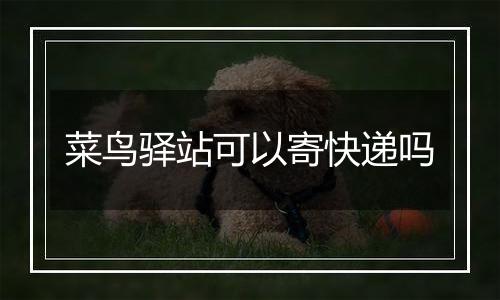 菜鸟驿站可以寄快递吗