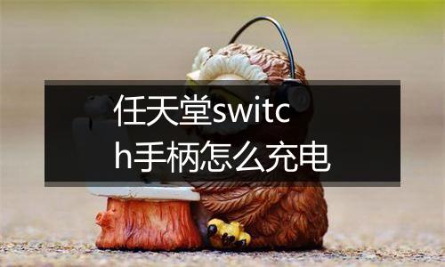 任天堂switch手柄怎么充电