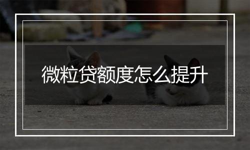 微粒贷额度怎么提升