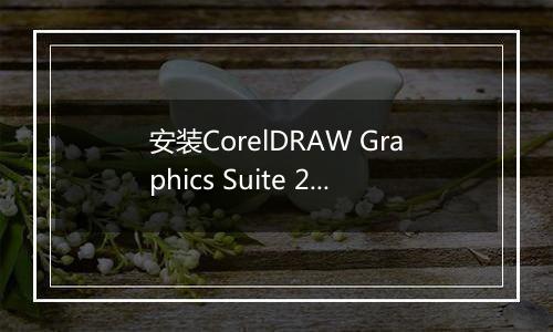 安装CorelDRAW Graphics Suite 2019的具体操作步骤