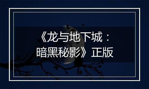 《龙与地下城：暗黑秘影》正版