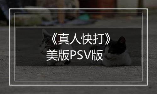 《真人快打》美版PSV版