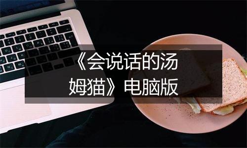 《会说话的汤姆猫》电脑版