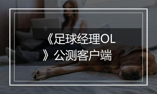 《足球经理OL》公测客户端
