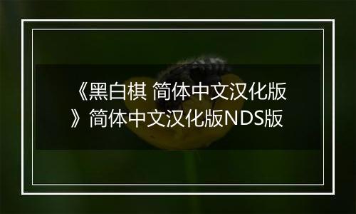 《黑白棋 简体中文汉化版》简体中文汉化版NDS版