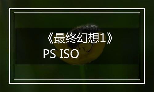 《最终幻想1》PS ISO
