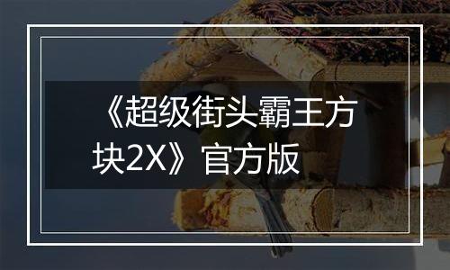 《超级街头霸王方块2X》官方版