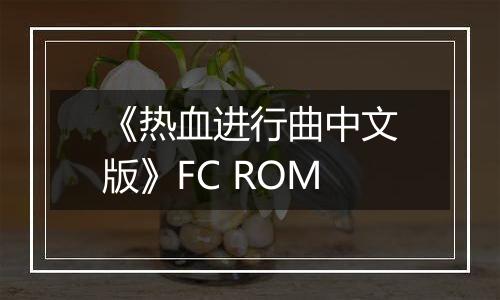 《热血进行曲中文版》FC ROM