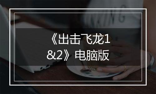 《出击飞龙1&2》电脑版